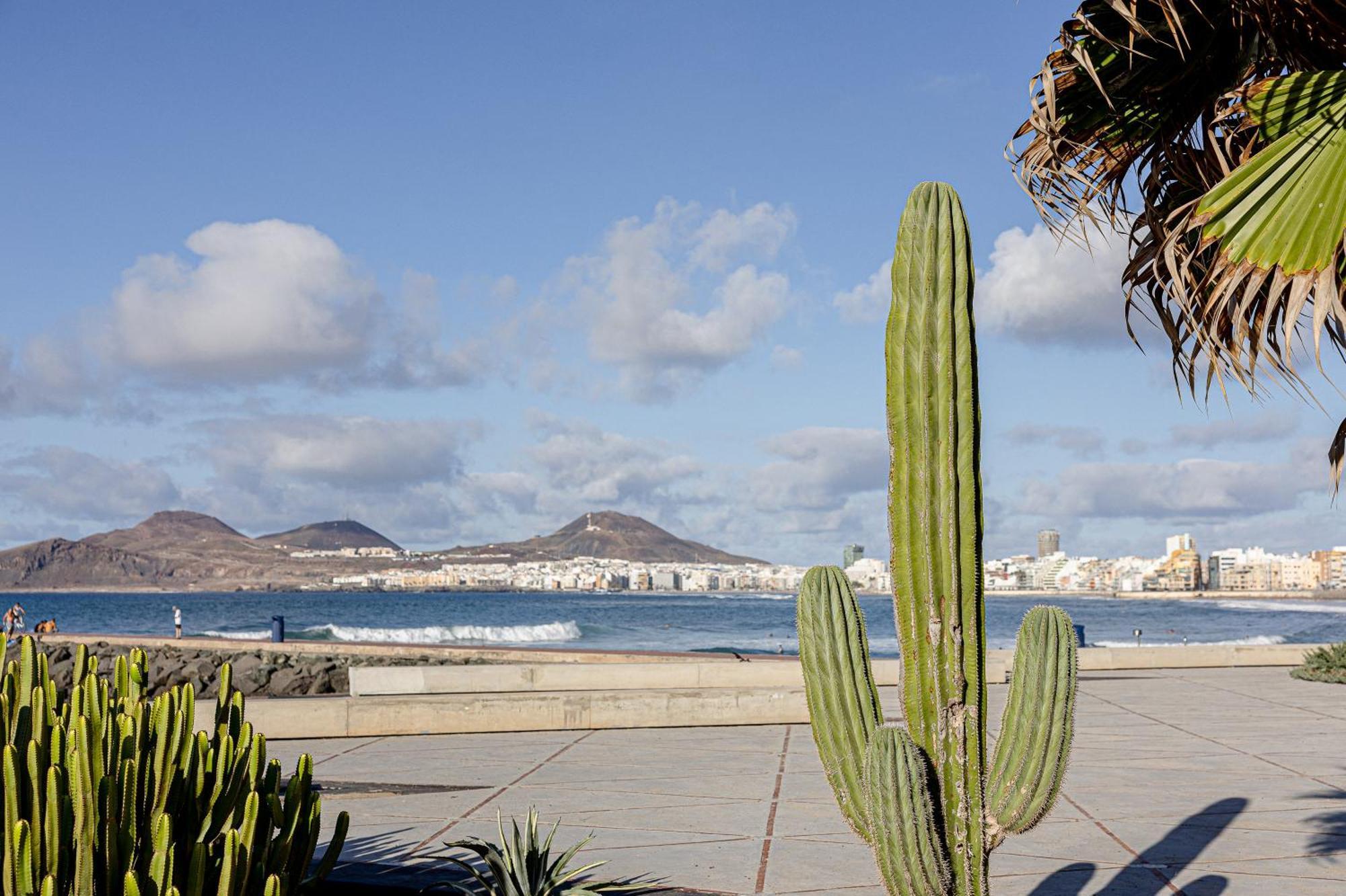 Bambu Suites Vegueta Alquiler Por Habitacion Las Palmas de Gran Canaria Exterior foto